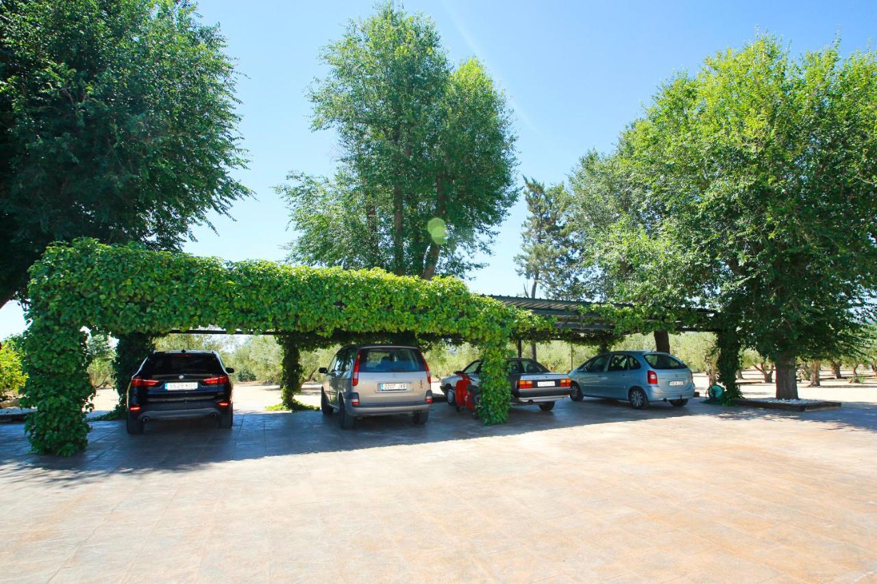 Villa Senia Tomaset II à Onil Extérieur photo